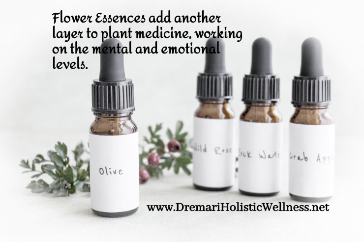 bach-2785140_1920 (1) (1)