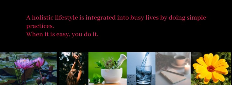 Holistic Banner BeFunky-design